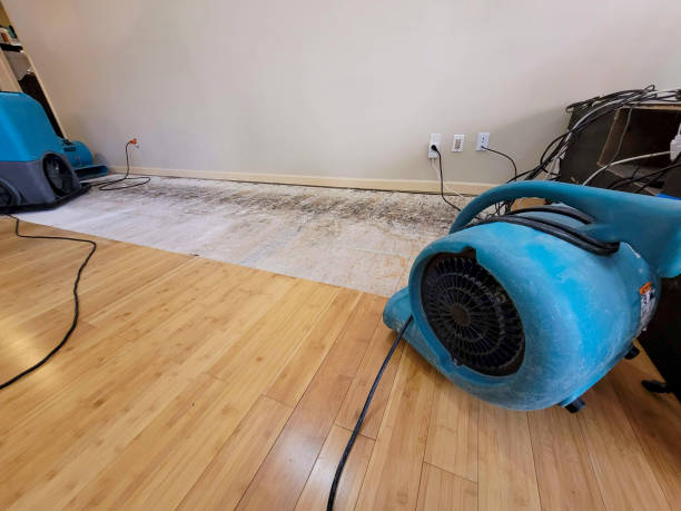 Professional Emergency Water Damage technician working in Windsor Heights, IA